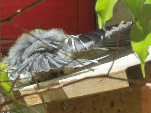 Benutzer&uuml;bermitteltes Bild