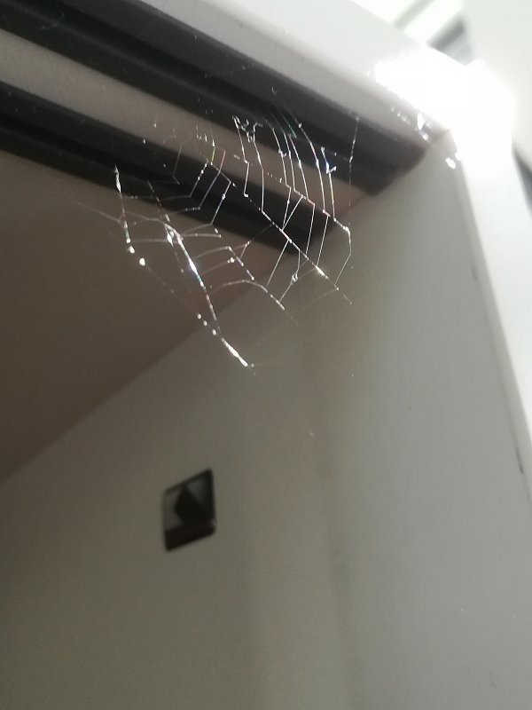 Wegen Corona: Kaum ist man mal ein paar Monate im Home-Office, schon sieht der Büroschrank [i][u]so[/u][/i] aus... (2020)