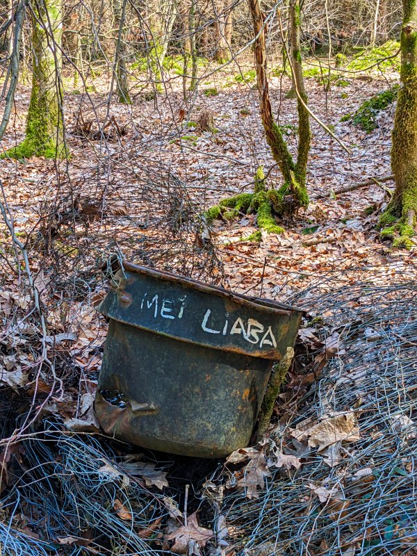 Geht gar nicht! – Im Wald bei Haar (2024)