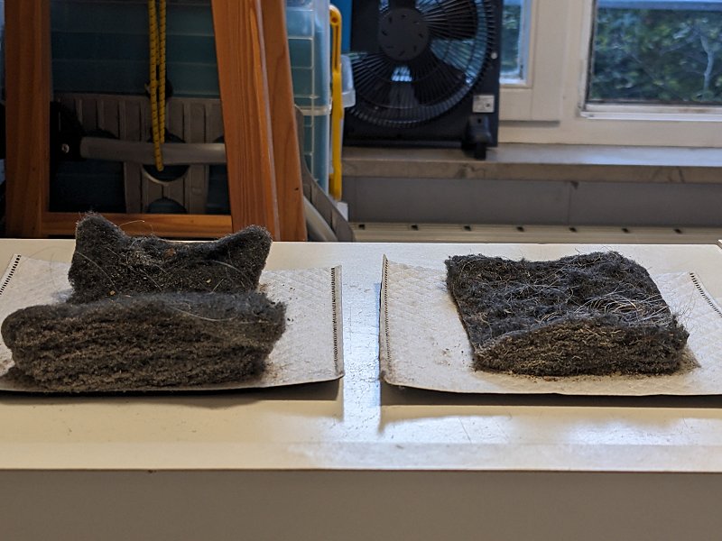 Krass, was da alles in den Teppichen drinsteckt, das mein 30 Jahre alter röhrender Siemens-Saugstauber (ohne rotierende Bürste) nicht rausholen konnte...