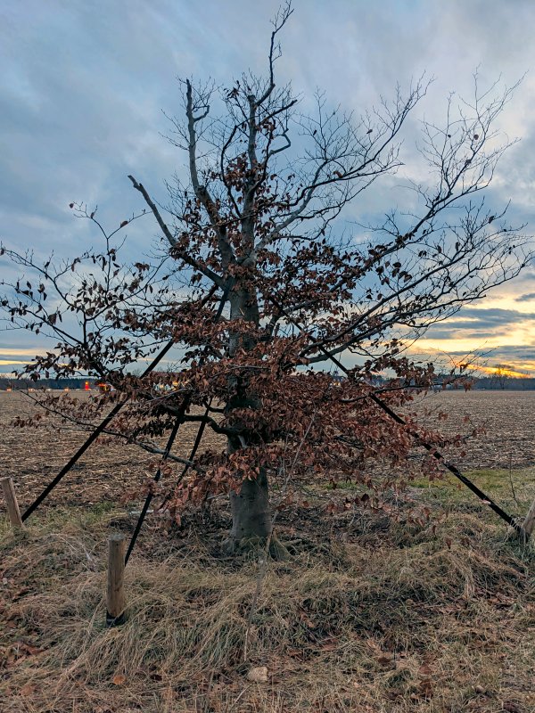Wer hält hier wen? (Haar, 2025)