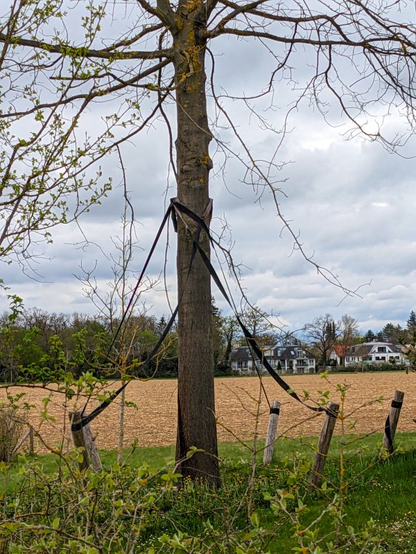 Wer hält hier wen? (Haar, 2025)