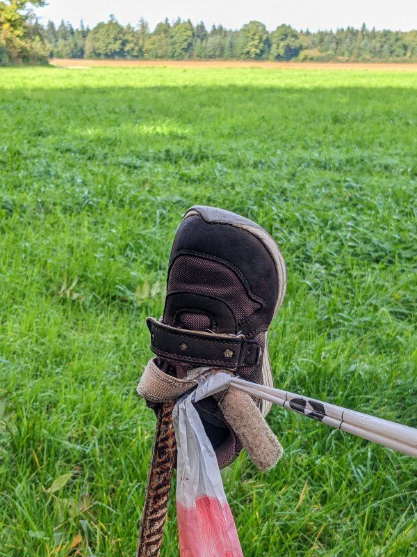 Oder seinen Schuh? – Selber Spaziergang, nur ein kleines Stück weiter (2025).