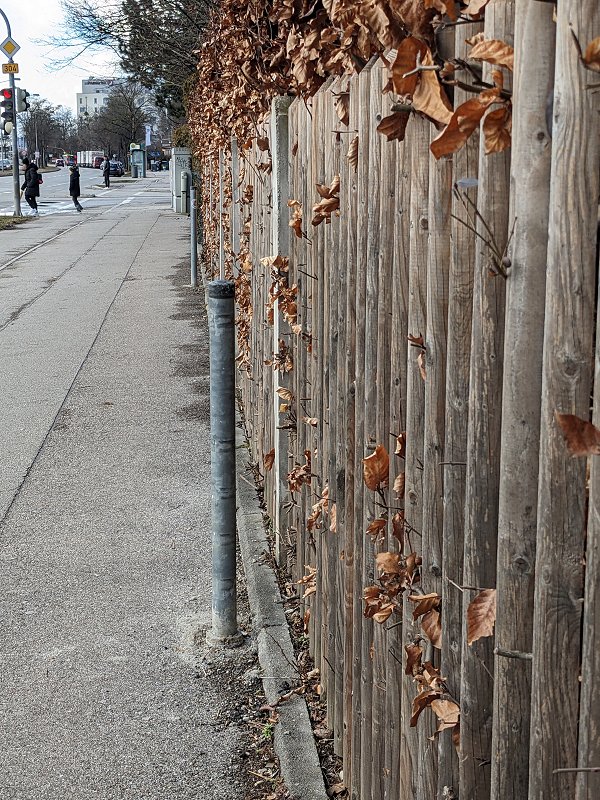 ... gleich neben Soda-Poller Nr. 2.