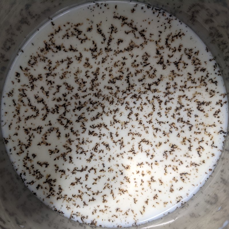 Muster von Pfeffer auf Milch im Kochtopf (2022)