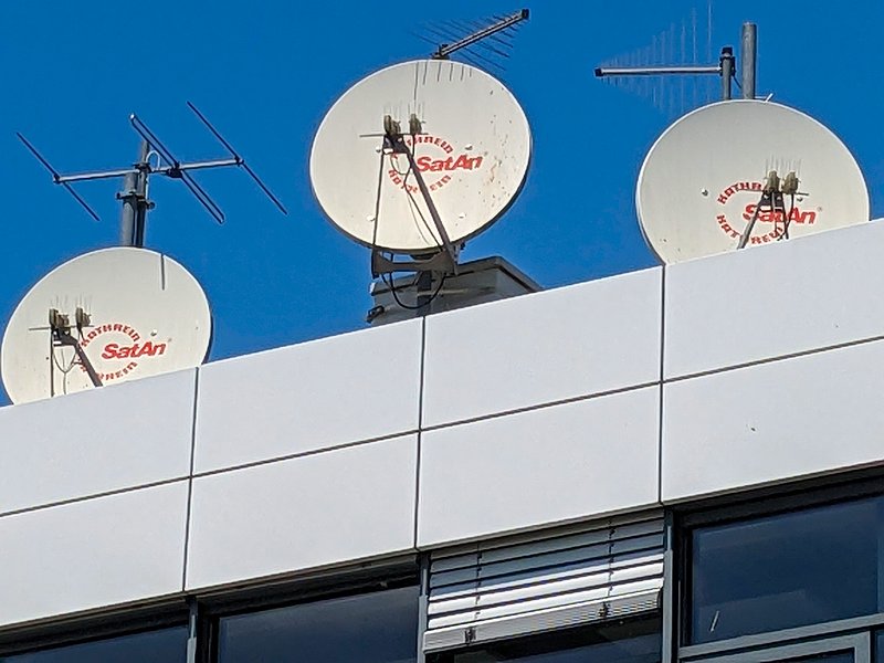 Satan-Tennen in Unterföhring (2023).