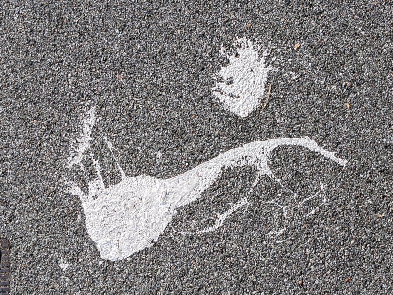 Was siehst du? Für mich sieht das aus wie ein ausgerutschtes Männeken. – Farbklecks-Pareidolie auf einem Gehweg in Haar (2023).