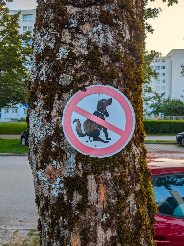 Wauwau Kacka NEIN! (Haar, 2024)