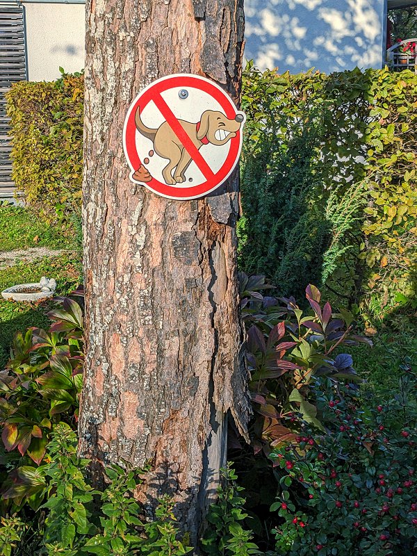 NEIN! Pfui! (Haar, 2025)