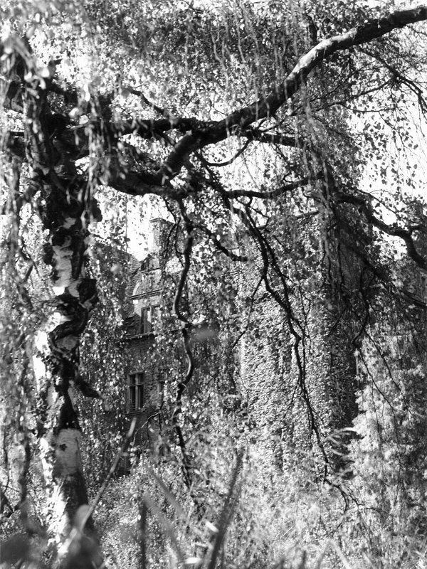 [url=schloss-krickenbeck-im-herbst-1983]Schloss Krickenbeck[/url] im Dornröschenschlaf (Herbst 1983).