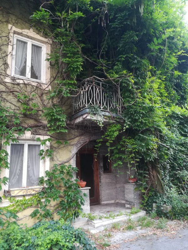 Ein bis unters Dach zugewuchertes Haus in Aschheim bei München (2019). Hier kam ich früher beim Umsteigen in einen anderen Bus jeden Tag vorbei.