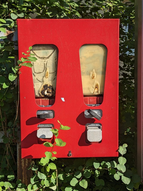 Aus-verkauft. – Kaugummi-Automat in Haar (2024).
