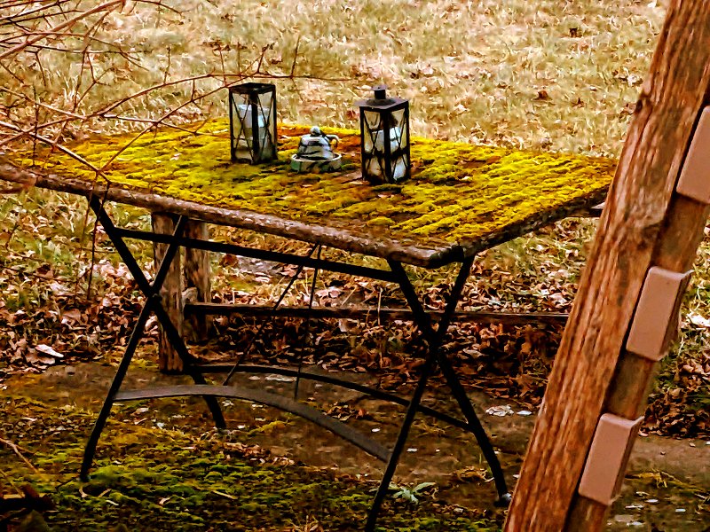 Eine moosweiche Natur-Tischdecke in einem Garten in Haar (2025).