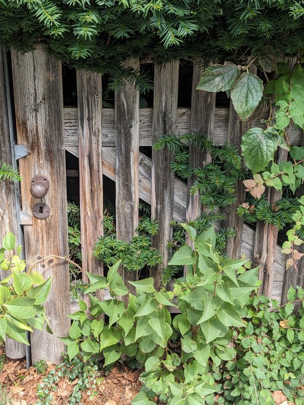 Versteckter Zugang zu einem geheimern Garten... in Haar (2025).